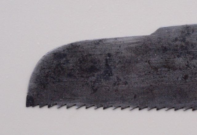 Kenyon1nose
