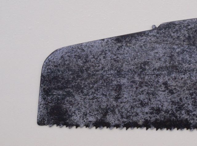 Kenyon2nose