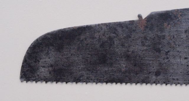 Kenyon3nose