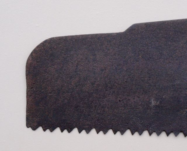 Kenyon4nose